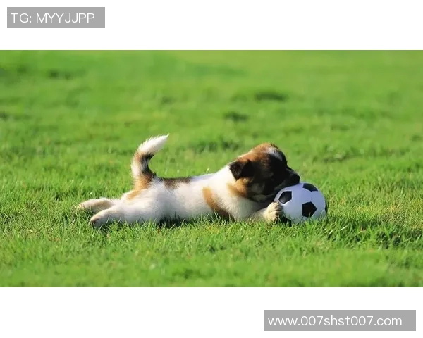 7号足球明星桌面设计灵感分享打造属于你的个性化运动空间