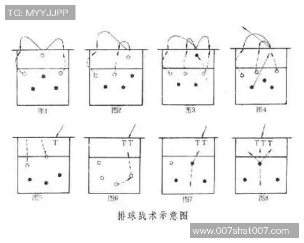 南京排球队中路突破战术解析与实战应用探讨