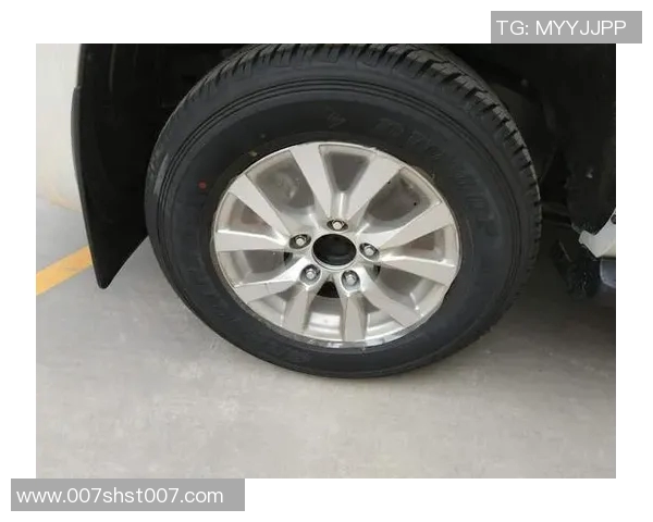 南京乒乓球队以85分领跑洲际杯积分榜展现强劲实力